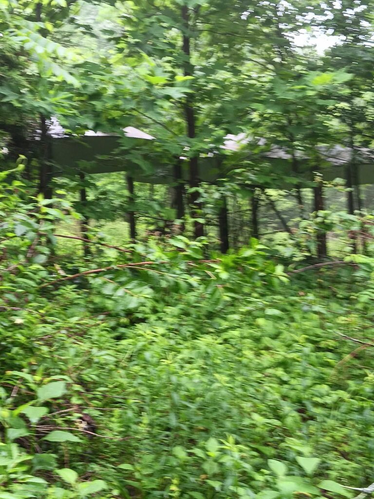 3cf5b7d2-8892-4def-b48d-c3ed3533bd46.jpg