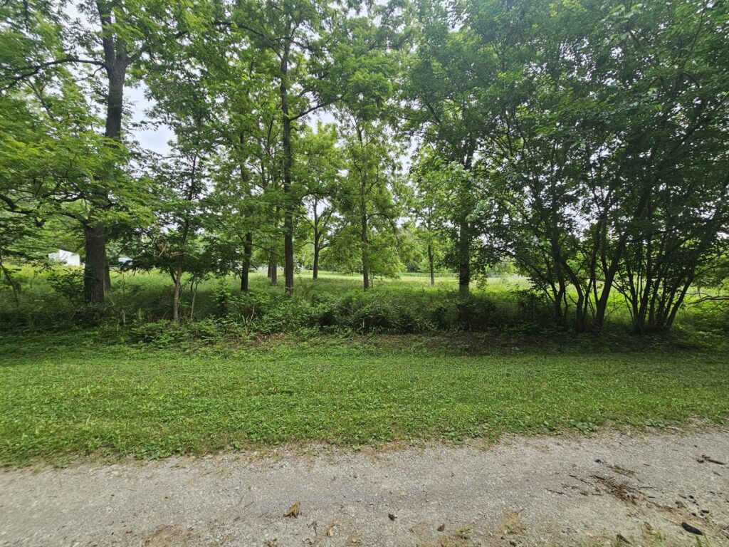 3d0b47a7-7721-42ad-89f6-9d78aae7ba18.jpg