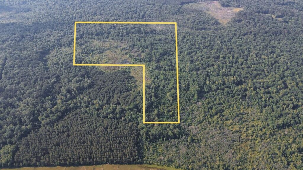 Property photo for land for sale in Jackson County Louisiana