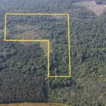 Property photo for land for sale in Jackson County Louisiana