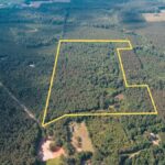 Property photo for land for sale in Jackson County Louisiana