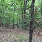 Property photo for land for sale in Ozark County Missouri