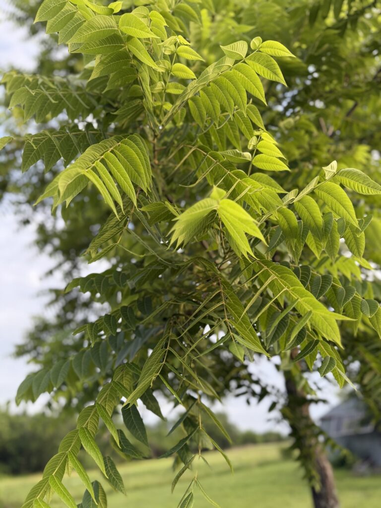 3f422f26-a204-440e-bb0a-0c2dc3ee22d2.jpg