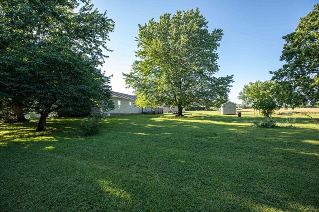 400deed9-71e6-467f-85d7-ca76621f55b9.jpg