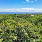 Property photo for land for sale in Hawaii County Hawaii