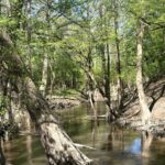 Property photo for land for sale in Ouachita County Arkansas