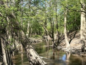 Property photo for land for sale in Ouachita County Arkansas