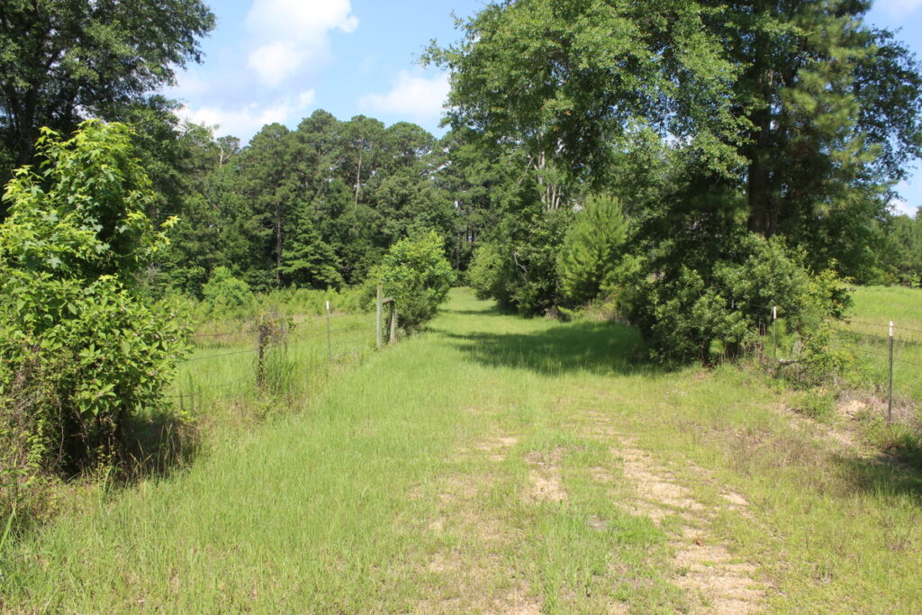 4461edb4-2804-4fd4-990a-1824546ac4a5.jpg
