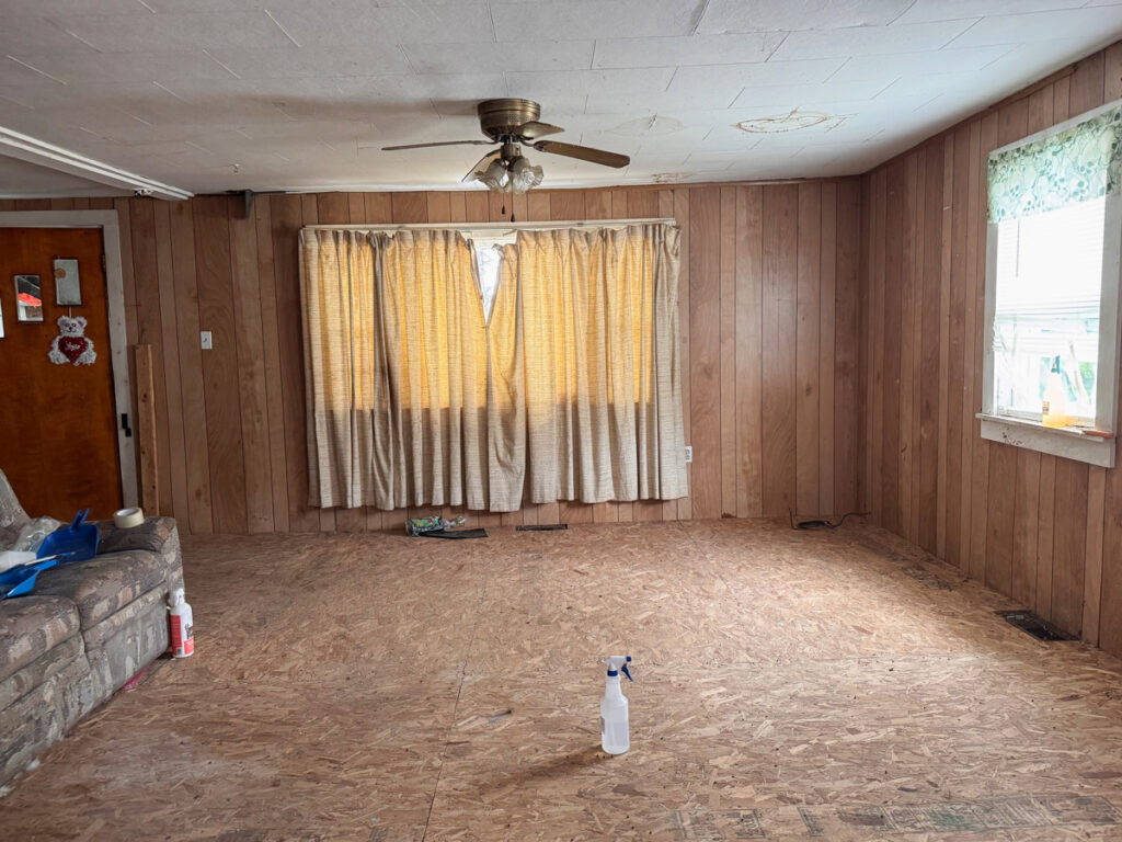 450eab13-a7f2-4979-a87d-cc05c6df1253.jpg