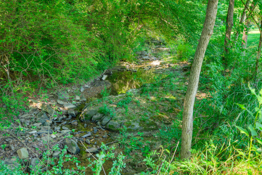 46782c70-97fe-4f41-a9a6-161aac6db88c.jpg