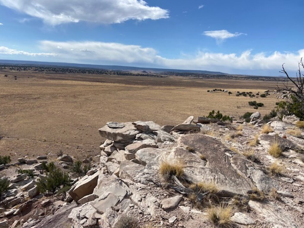 Property photo for land for sale in Apache County Arizona