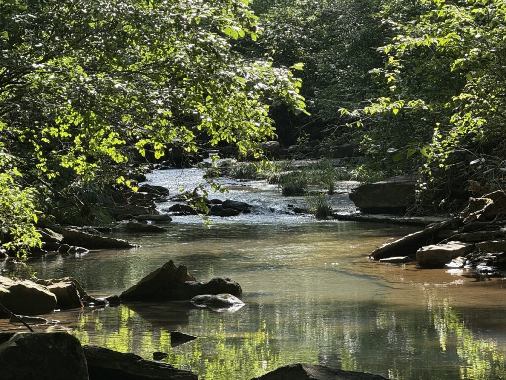 Property photo for land for sale in Van Buren County Arkansas
