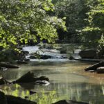 Property photo for land for sale in Van Buren County Arkansas