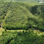 Property photo for land for sale in Patrick County Virginia