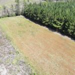 Property photo for land for sale in Bamberg County South Carolina