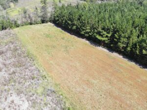 Property photo for land for sale in Bamberg County South Carolina