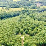 Property photo for land for sale in Dent County Missouri