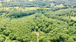 Property photo for land for sale in Dent County Missouri