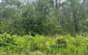 Property photo for land for sale in Columbia County Florida