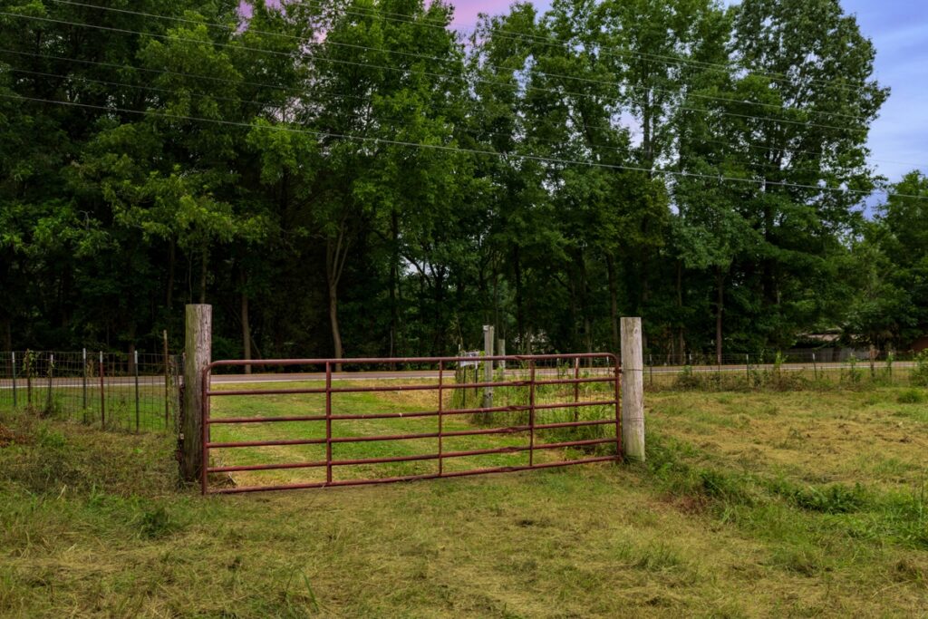4d087078-fa54-4e2d-aea6-1fd67c7895a7.jpg