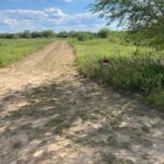 Property photo for land for sale in Jim Wells County Texas