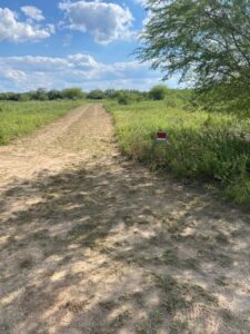 Property photo for land for sale in Jim Wells County Texas