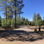 Property photo for land for sale in Rio Arriba County New Mexico