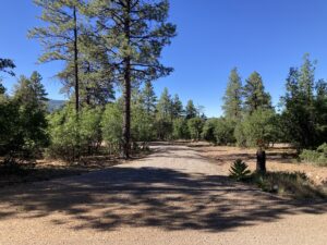 Property photo for land for sale in Rio Arriba County New Mexico