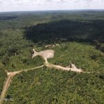 Property photo for land for sale in Wilkinson County Mississippi
