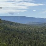 Property photo for land for sale in Rio Arriba County New Mexico