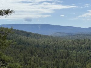 Property photo for land for sale in Rio Arriba County New Mexico