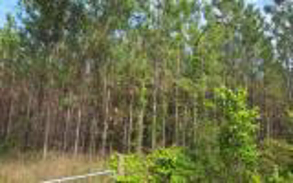 500be8be-36a8-47d1-a618-0f748b26958b.jpg