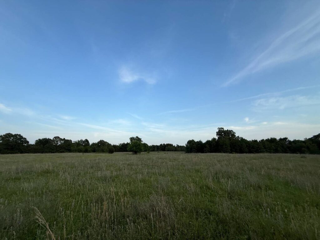 51ad8734-bd09-43c2-b265-ee665f9c0479.jpg