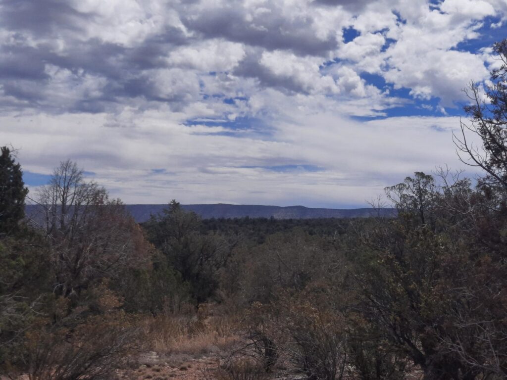 51c84c61-3452-4cf4-badf-f6534384846b.jpg