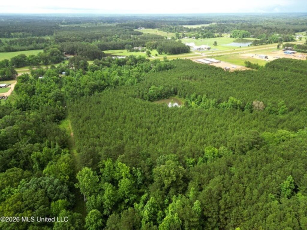 Property photo for land for sale in Lincoln County Mississippi