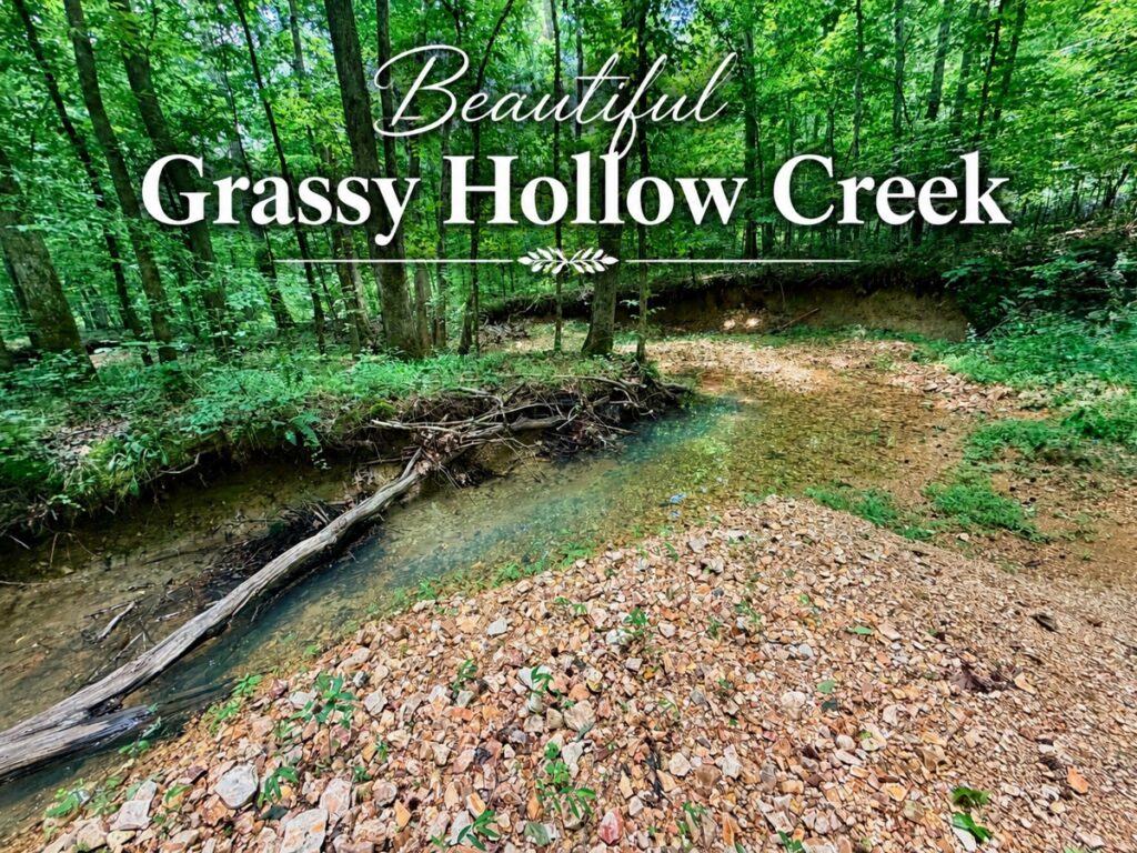 Property photo for land for sale in Benton County Tennessee