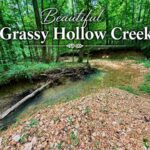 Property photo for land for sale in Benton County Tennessee