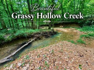 Property photo for land for sale in Benton County Tennessee