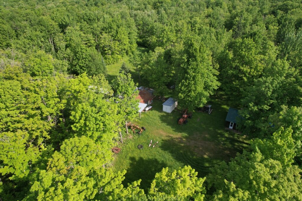53270e7f-d565-4df0-986e-861028392bac.jpg