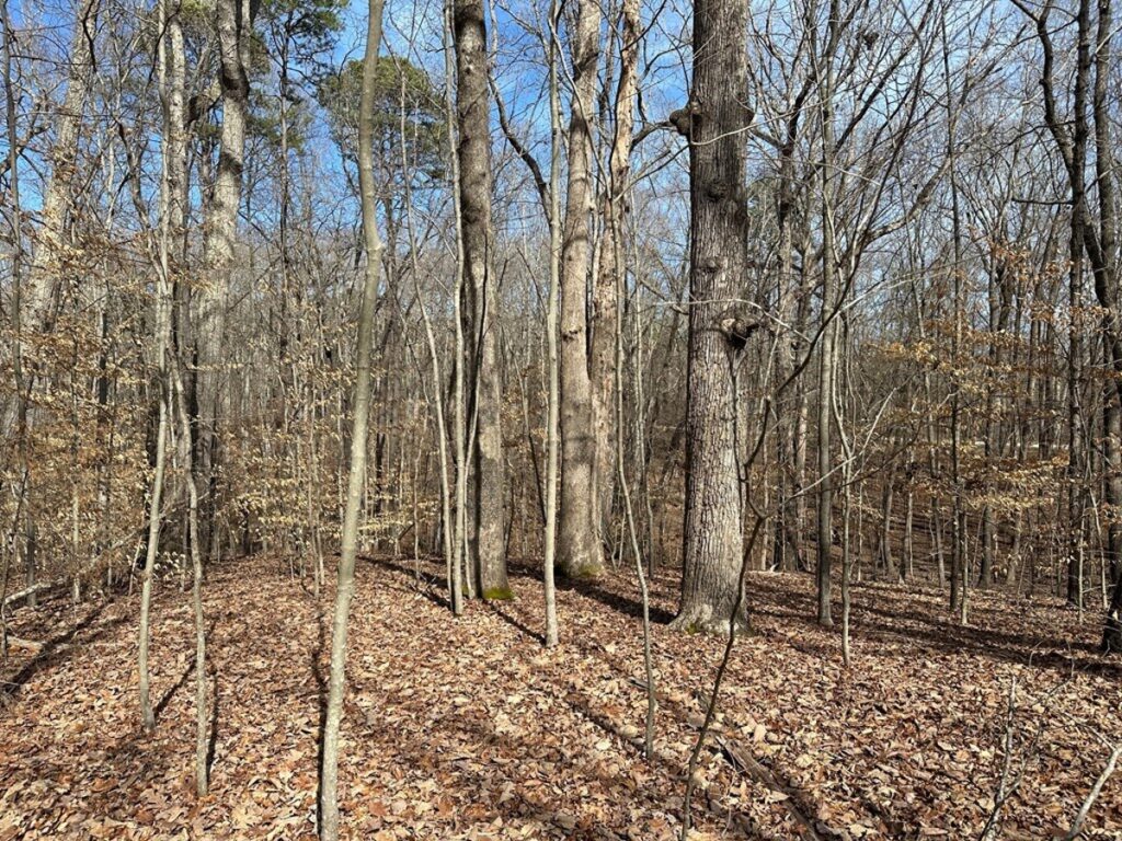 53b07c52-3460-4546-969d-f89b147d5758.jpg