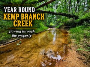 Property photo for land for sale in Alcorn County Mississippi