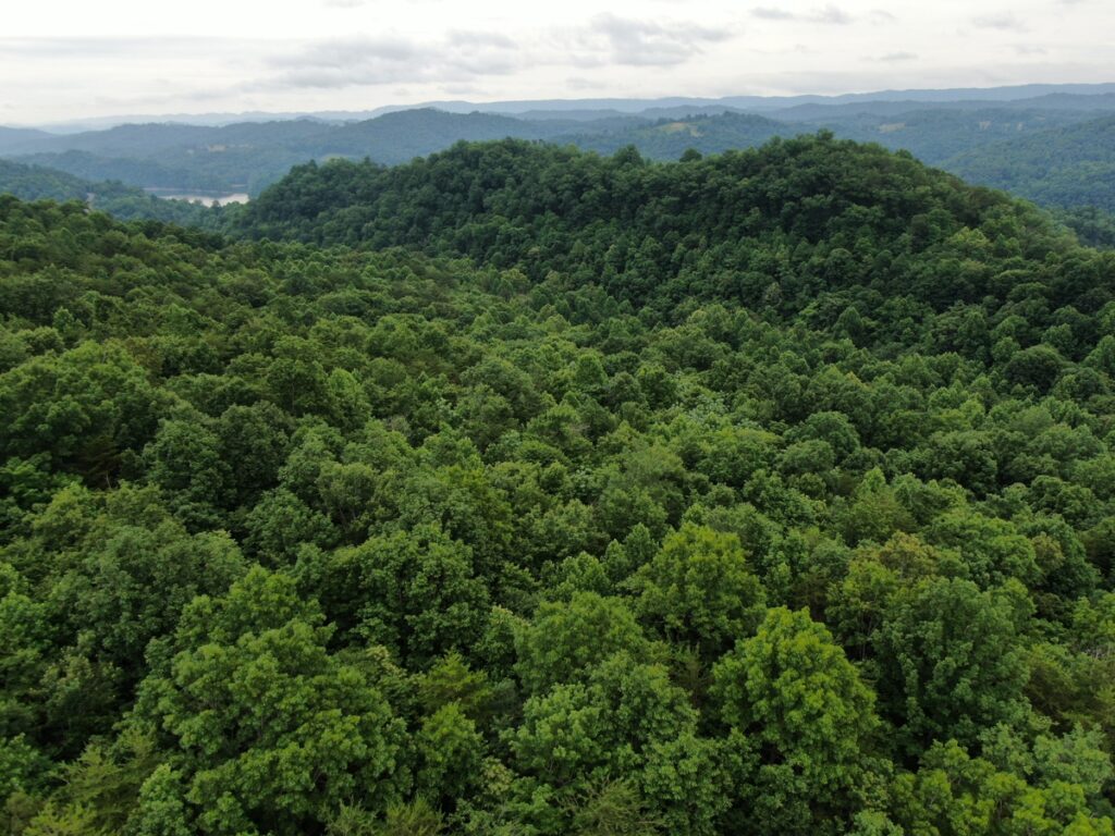 54e60055-775b-4937-9471-a66e72038de1.jpg