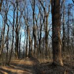 Property photo for land for sale in Madison County Arkansas