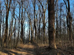 Property photo for land for sale in Madison County Arkansas