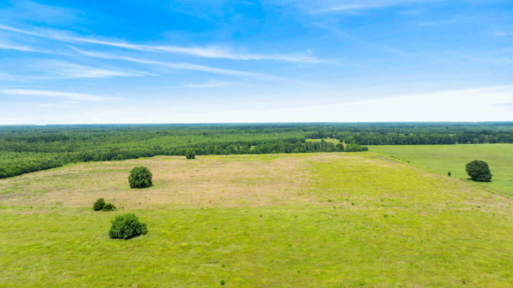 55589b4e-01a4-4f88-9ce7-8753d02c7fb5.jpg