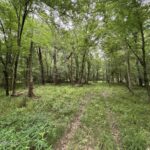 Property photo for land for sale in Amite County Mississippi