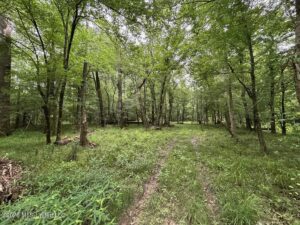 Property photo for land for sale in Amite County Mississippi