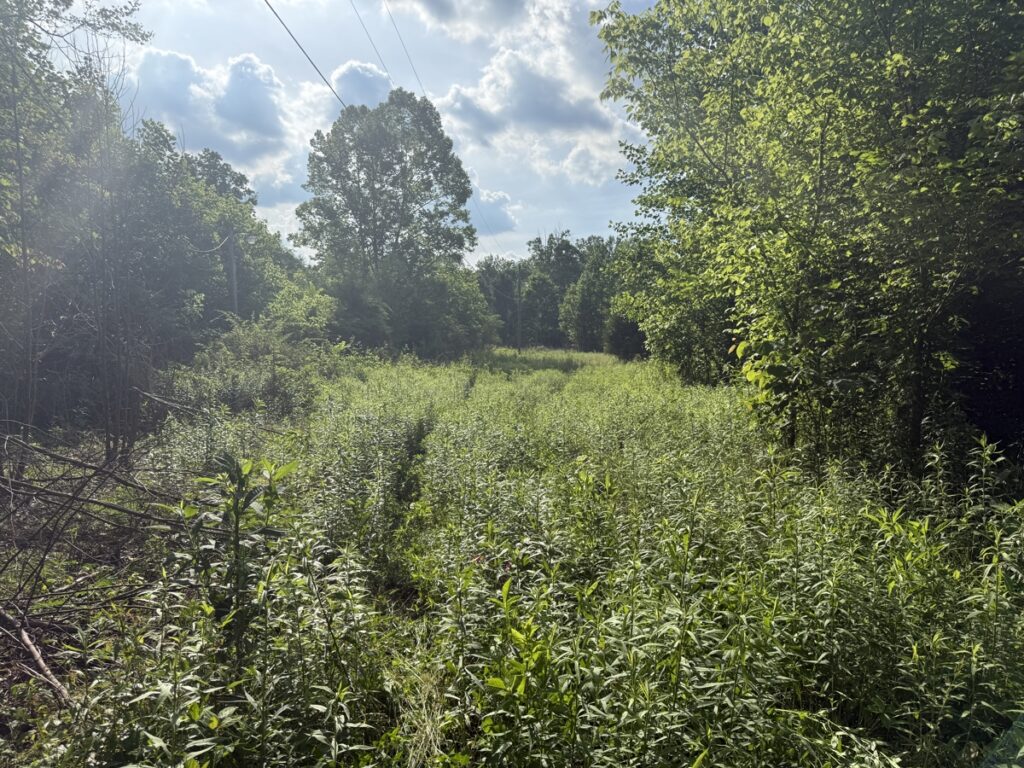 Property photo for land for sale in Casey County Kentucky