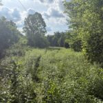 Property photo for land for sale in Casey County Kentucky