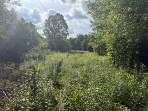 Property photo for land for sale in Casey County Kentucky